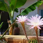Astrofegia Near The Sea 4* Agia Marina (Northern Cyprus)