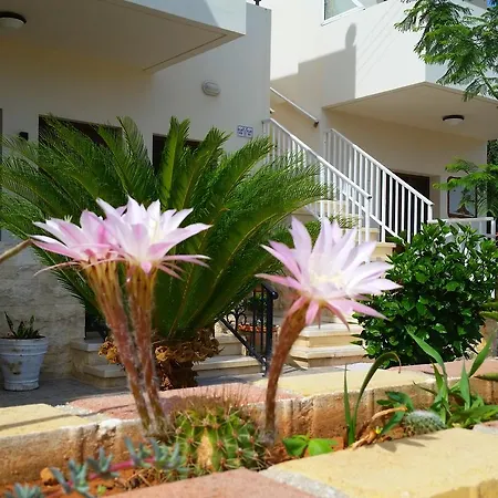 Astrofegia Near The Sea Aparthotel Agia Marina (Northern Cyprus)