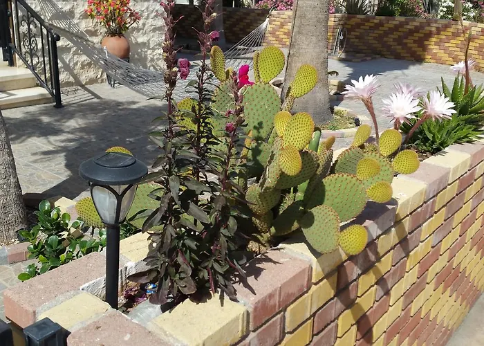 Astrofegia Near The Sea