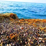 Astrofegia Near The Sea Agia Marina (Northern Cyprus)