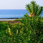 Astrofegia Near The Sea 4* Agia Marina (Northern Cyprus)