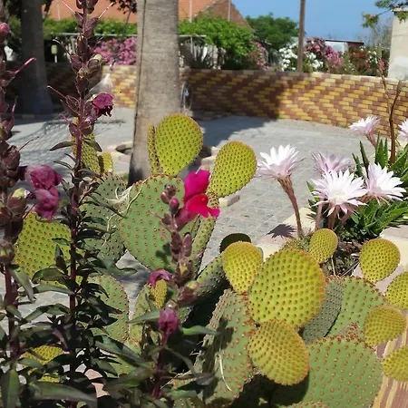 Aparthotel Astrofegia Near The Sea 4*