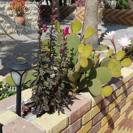 Astrofegia Near The Sea