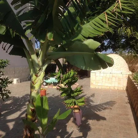 Astrofegia Near The Sea