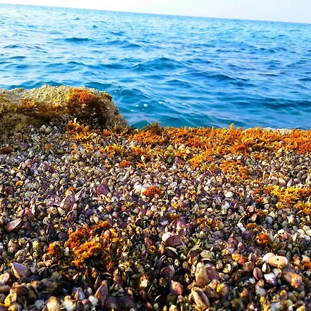Astrofegia Near The Sea Agia Marina (Northern Cyprus)