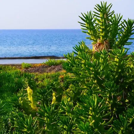 Astrofegia Near The Sea 4* Agia Marina (Northern Cyprus)