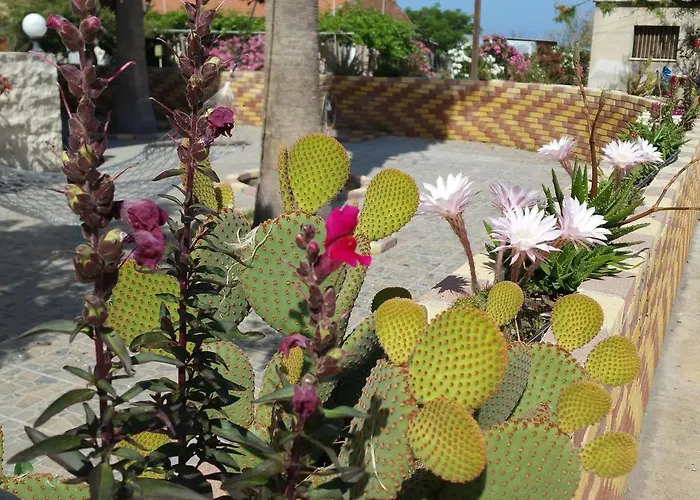 Aparthotel Astrofegia Near The Sea 4*