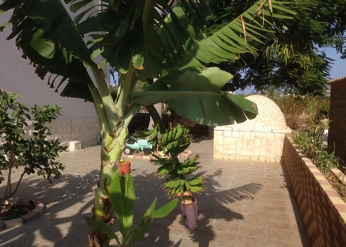 Astrofegia Near The Sea