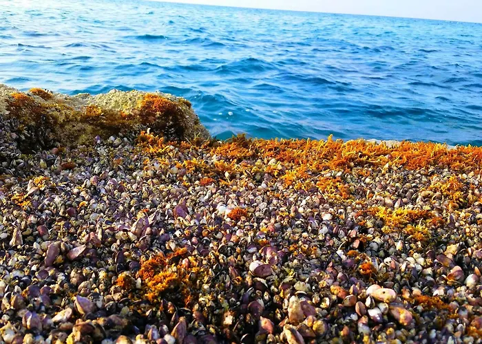 Astrofegia Near The Sea Agia Marina (Northern Cyprus)