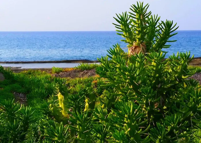 Astrofegia Near The Sea 4* Agia Marina (Northern Cyprus)